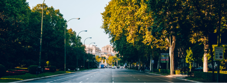 Paseo del Prado - Madrid